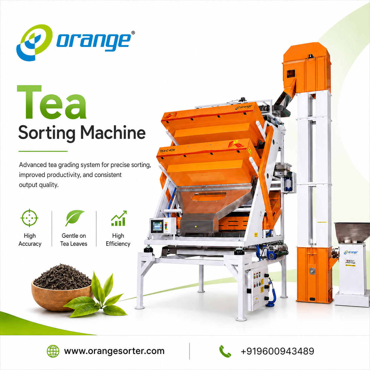 Industrial Tea Sorting Solutions for Tea Factories