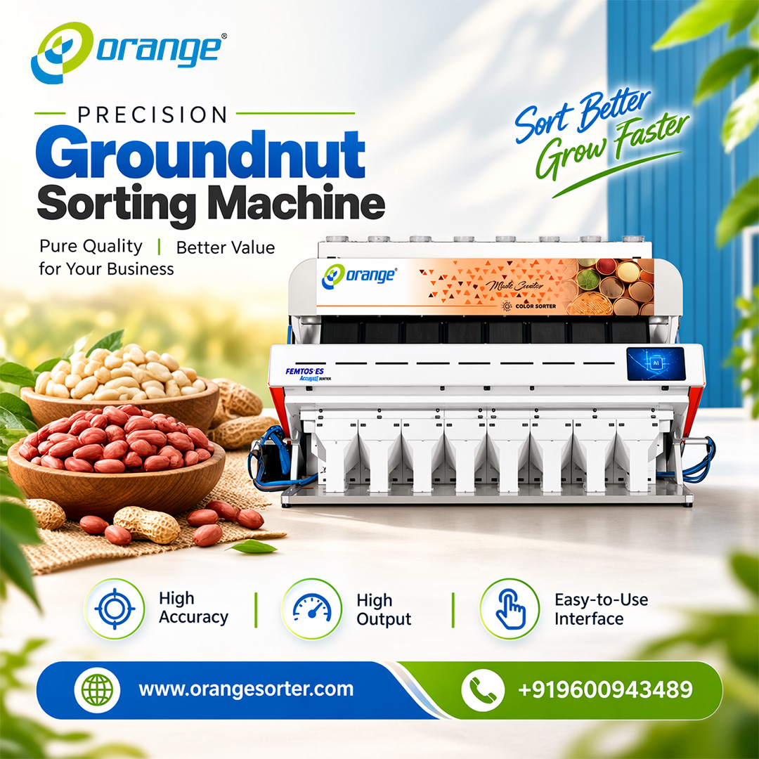 Best Groundnut Sorting Machine in India