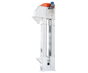 Grain Feeder