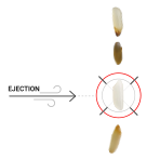 Reverse Object Sorting