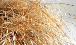 Rice Straw