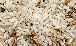 Rice with Stone and Husk