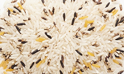 Raw Rice