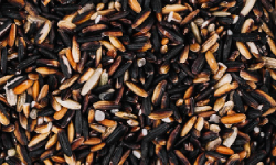 Tip Black Rice