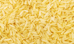 Yellow Rice