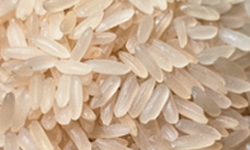 Semi Polished Rice
