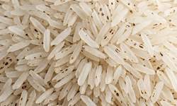 Tip Black Rice