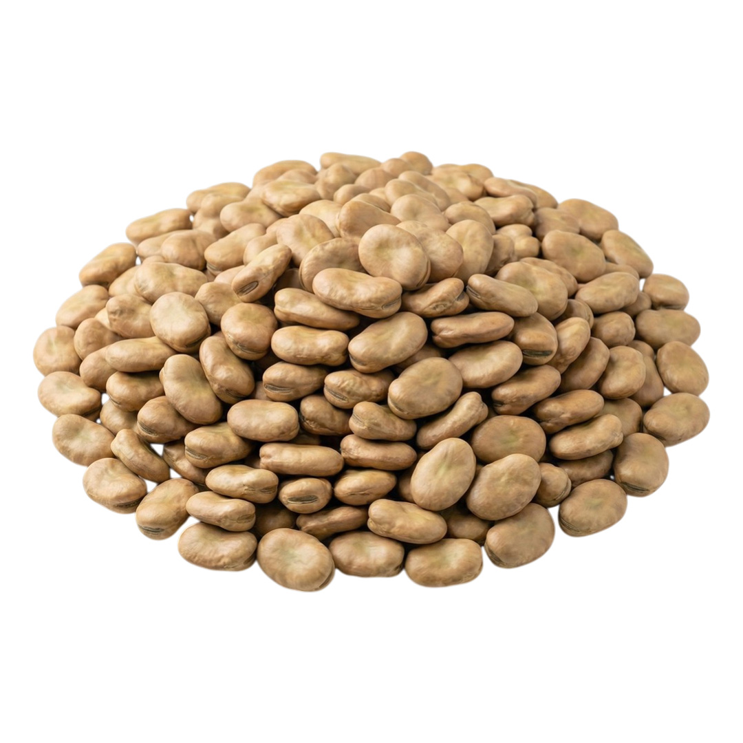 Broad Beans