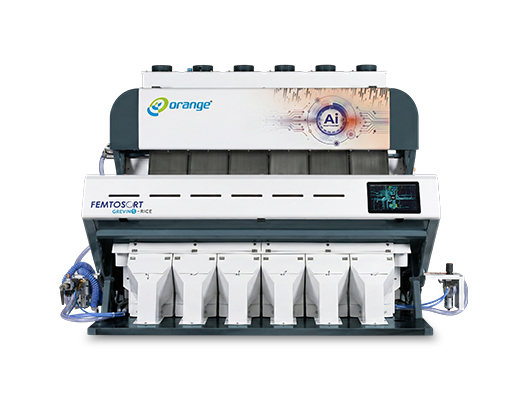 Rice Sorting Machine