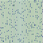 AI Image Capture
