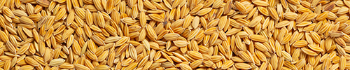 Mixed Rice